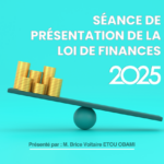 présentation de la loi de finances 2025