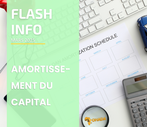 Flash Info : Amortissement du capital